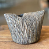 Shigaraki Vases from Japan