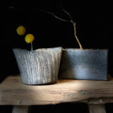 Shigaraki Vases from Japan