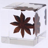 Sola Cube - Star Anise (Independence)