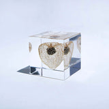 Sola Cube - Chinese Lantern (Illuminate Your Path)