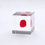 Sola Cube - Huayruro (Happiness Charm)