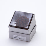 Sola Cube - American Sweetgum (Loyalty)