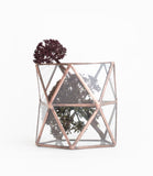 Hexagonal Twist Vase