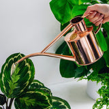 "The Rowley Ripple" - Copper Watering Can by Haws