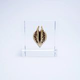 Sola Cube - Tiger's Claw (Spirited)