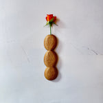 Hanging Bud Vase #02 • Mar25