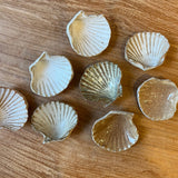 Condiment / Jewellery Dishes - Shell-Shaped