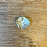 Condiment / Jewellery Dishes - Shell-Shaped