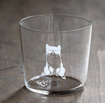 Engraved Glass Tumblers