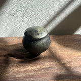 Canister - XS - Kurokake