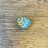 Condiment / Jewellery Dishes - Shell-Shaped