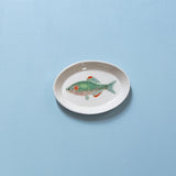 "Slender Bitterling" Plates - XS - "Fishes of Japan"