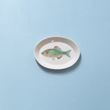 "Slender Bitterling" Plates - XS - "Fishes of Japan"