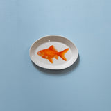 "Goldfish" Plates - XS - "Fishes of Japan"
