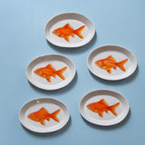 "Goldfish" Plates - XS - "Fishes of Japan"