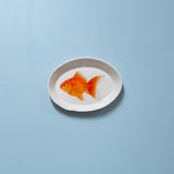"Ryukin Goldfish" Plates - XS - "Fishes of Japan"