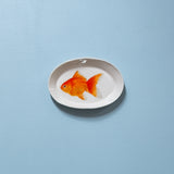 "Ryukin Goldfish" Plates - XS - "Fishes of Japan"