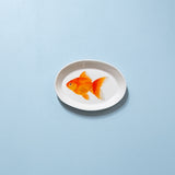 "Ryukin Goldfish" Plates - XS - "Fishes of Japan"