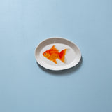 "Ryukin Goldfish" Plates - XS - "Fishes of Japan"