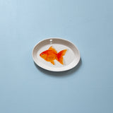 "Ryukin Goldfish" Plates - XS - "Fishes of Japan"