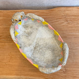Otter Dishes - Medium • serious PLAY