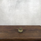 Guinomi (Sake Cup)
