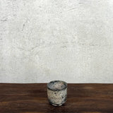 Guinomi (Sake Cup)