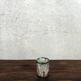 Guinomi (Sake Cup)