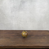 Bud Vases - XS - Matsukake - Wide & Narrow