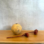 Moon Vases - Medium • serious PLAY