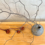 Bottle Vases - Medium • serious PLAY