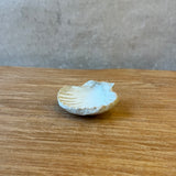 Condiment / Jewellery Dishes - Shell-Shaped