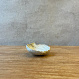 Condiment / Jewellery Dishes - Shell-Shaped