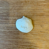 Condiment / Jewellery Dishes - Shell-Shaped