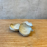 Condiment / Jewellery Dishes - Shell-Shaped