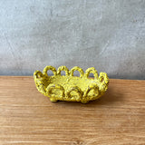 "Soap Dish in Yellow"