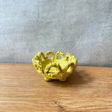 "Soap Dish in Yellow"