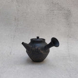 Japanese Teapots - "Near & Far" 2023