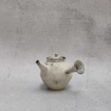 Japanese Teapots - "Near & Far" 2023