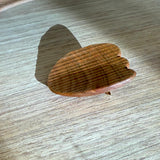 Brooch #06 • Mar25