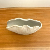 "Shell" Vase - XS