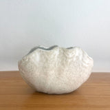 "Shell" Vase - XS
