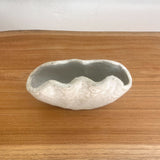 "Shell" Vase - XS