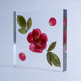 Sola Tile - Rose - Large