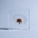 Sola Tile - Dandelion