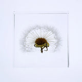 Sola Tile - Dandelion