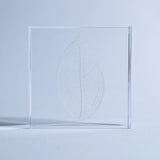 Sola Tile - Skeleton Leaf