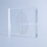 Sola Tile - Skeleton Leaf
