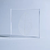 Sola Tile - Skeleton Leaf