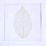 Sola Tile - Skeleton Leaf